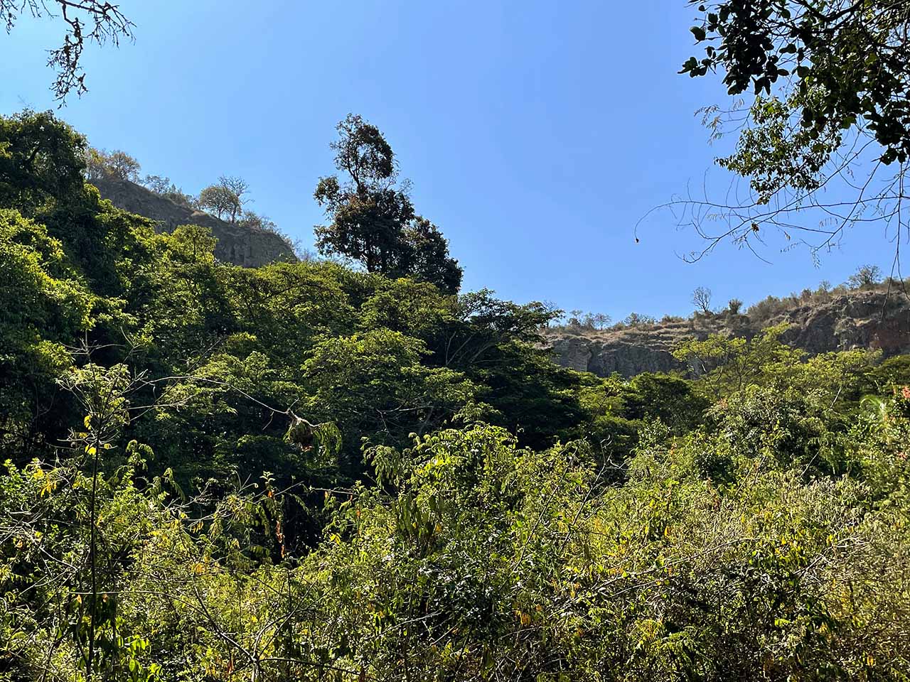 Beautiful forest camp in Sangare Conservancy