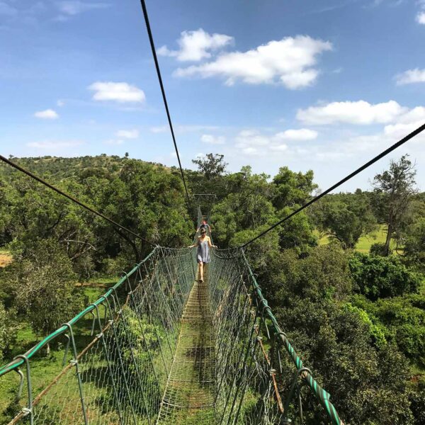 Canopy Walkway