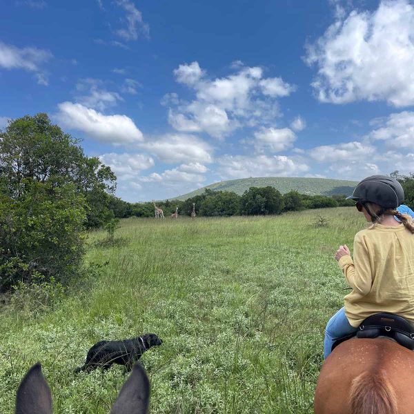 Horse Riding