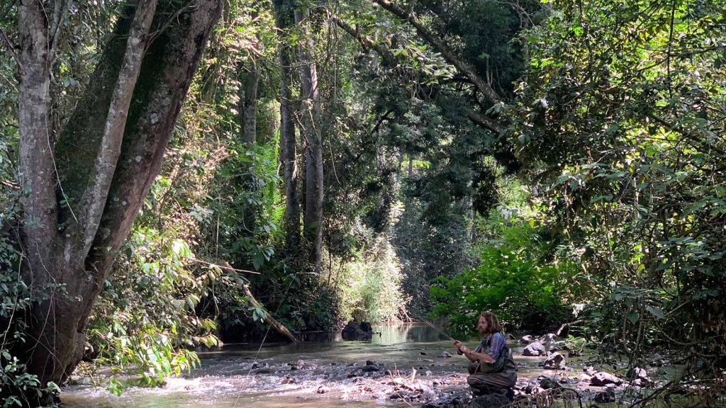 Fly Fishing