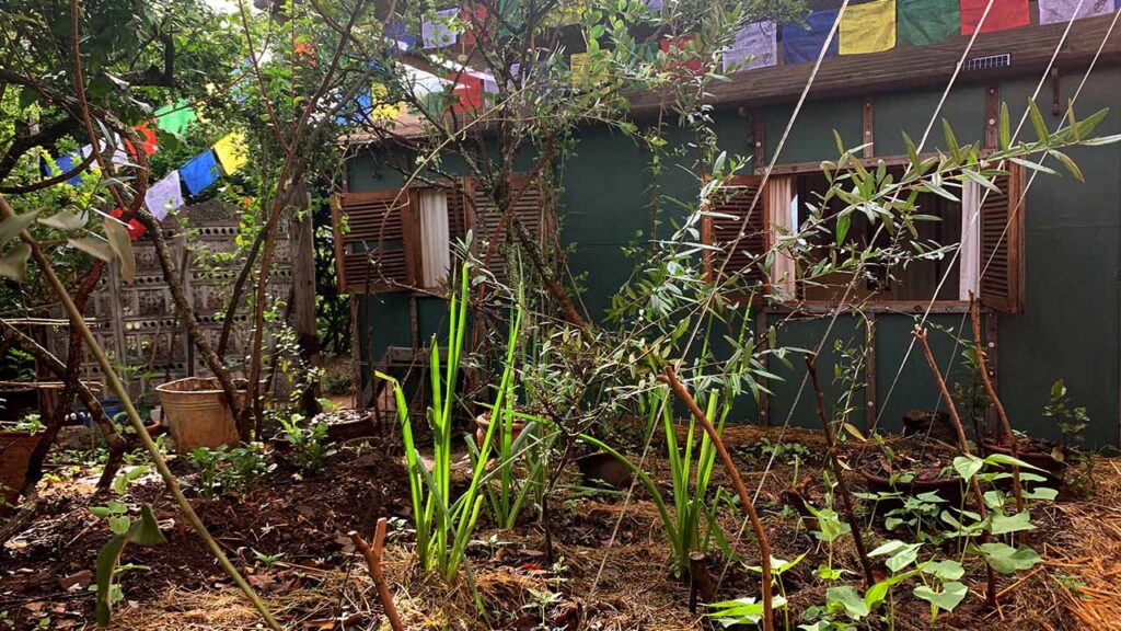 Lovely gardens around and kids tree house