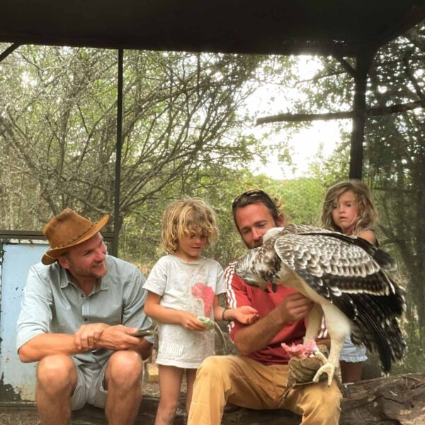 RAPTOR REHABILITATION