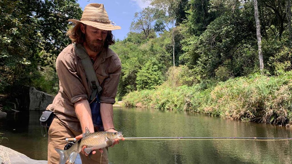 Fishing on mobile safari