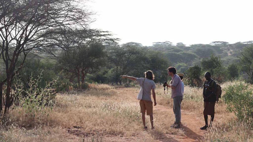 Hiking in the bush from Tassia