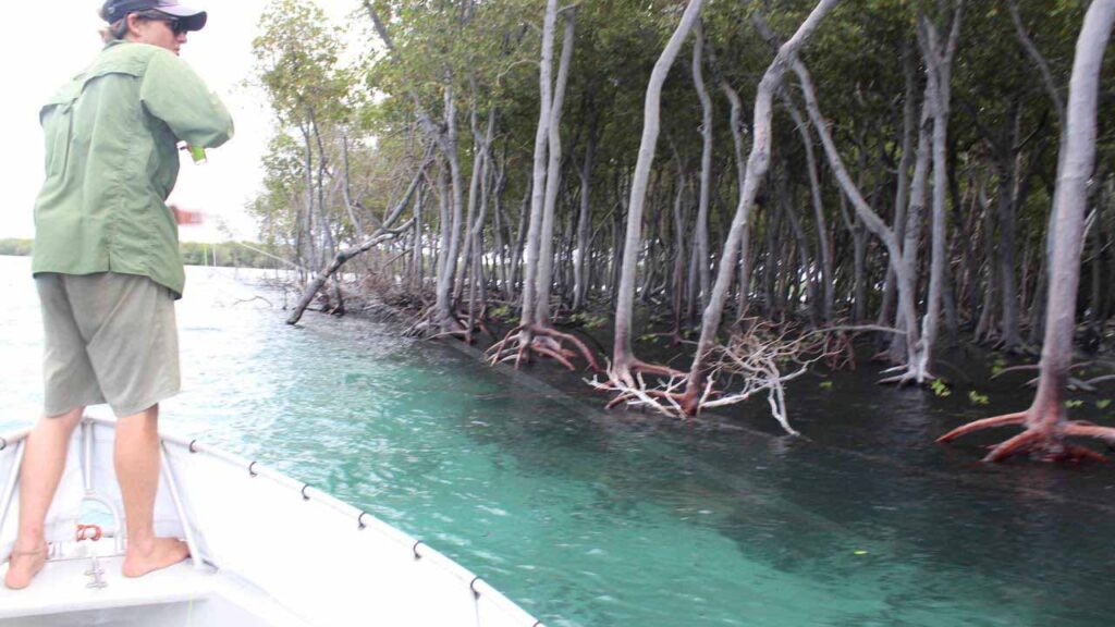 Boat trips