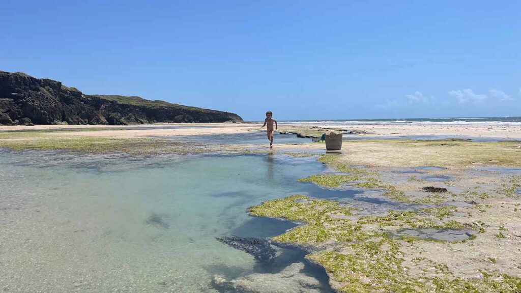 Dreamy beaches at holiday homes on Kiwayu Island